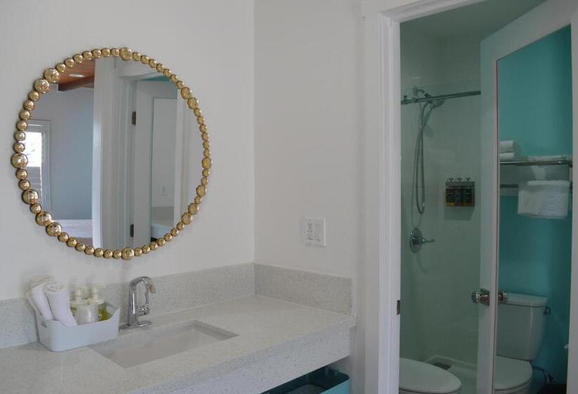 モーテル Calafia Inn San Clemente Newly Renovated