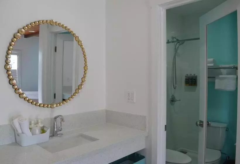 モーテル Calafia Inn San Clemente Newly Renovated