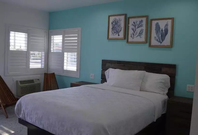 モーテル Calafia Inn San Clemente Newly Renovated