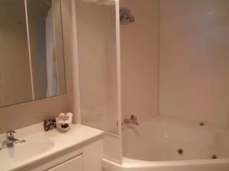 モーテル Manukau Motor Lodge