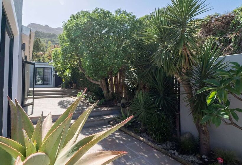 פנסיון Hout & About Guest House