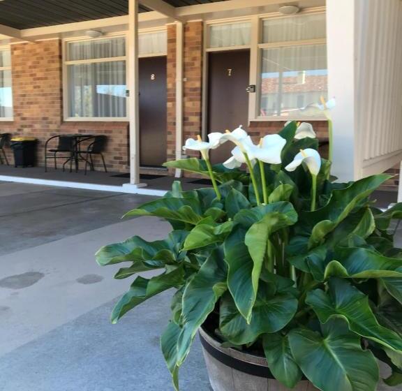 Royal Motel Tenterfield