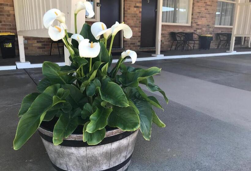 Royal Motel Tenterfield