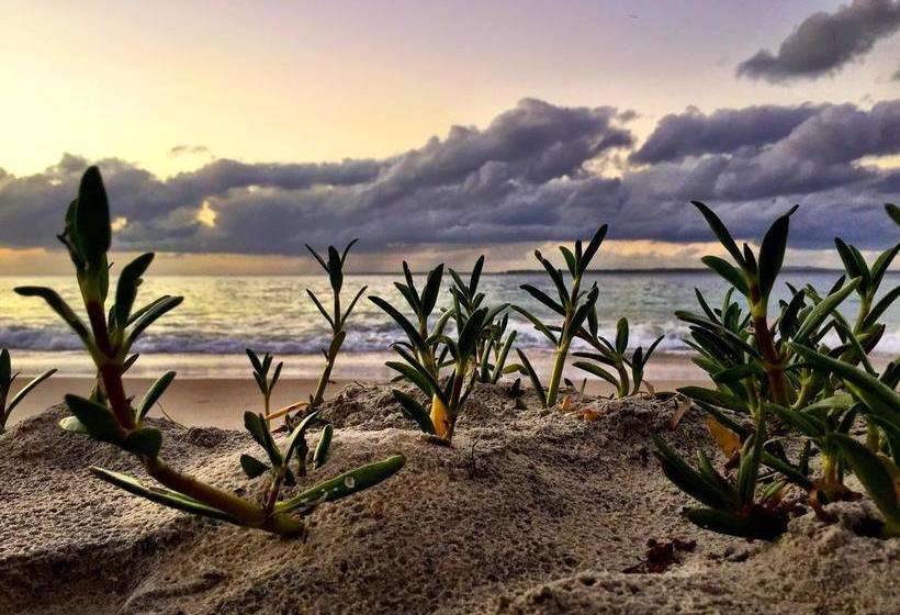 호텔 Stradbroke Island Beach