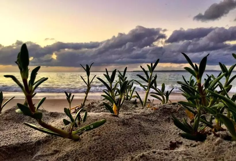 Hotelli Stradbroke Island Beach