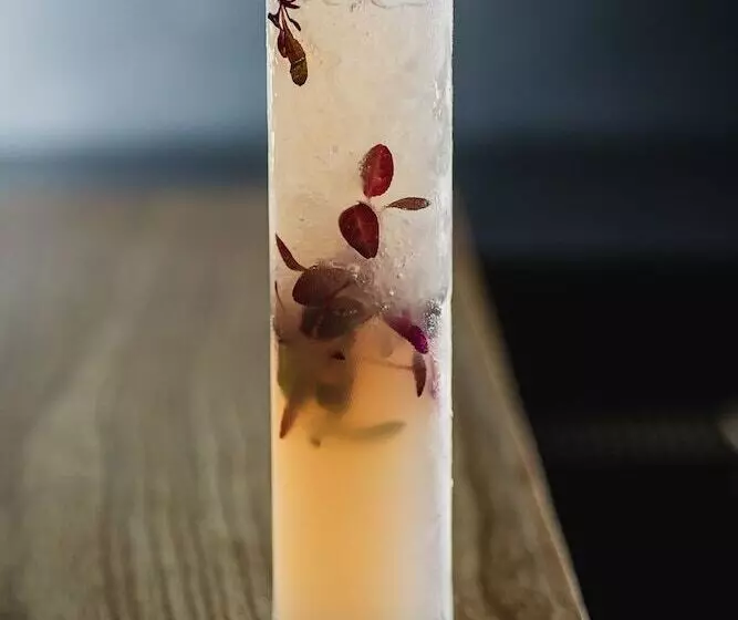 The Alb