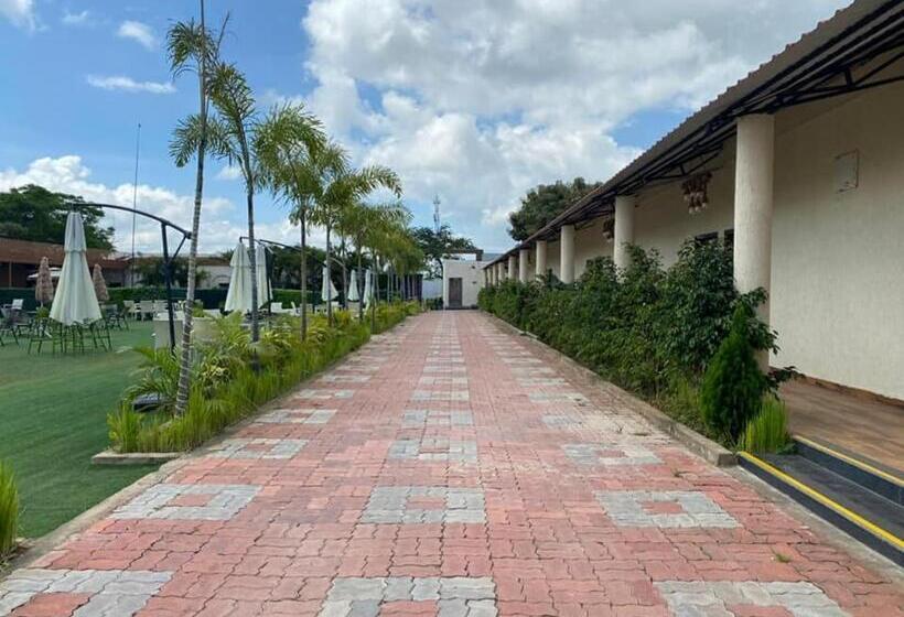 Focus Club And Resort