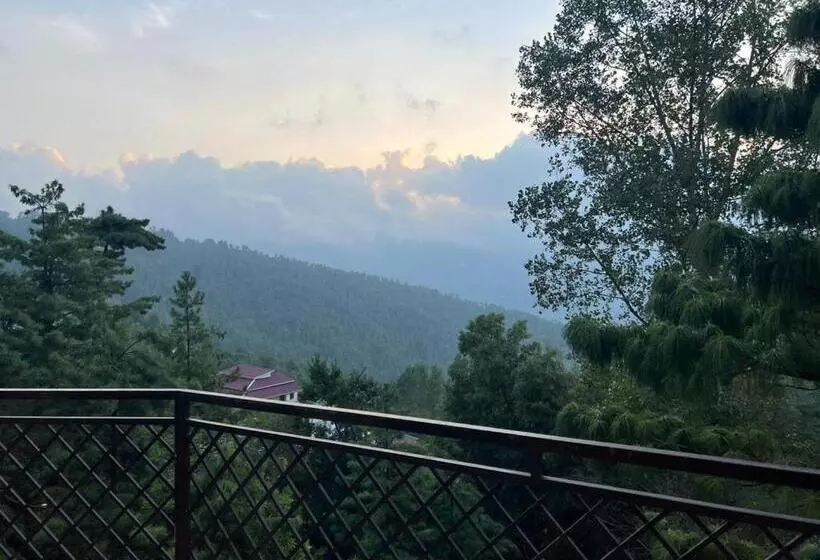 هتل Chinar