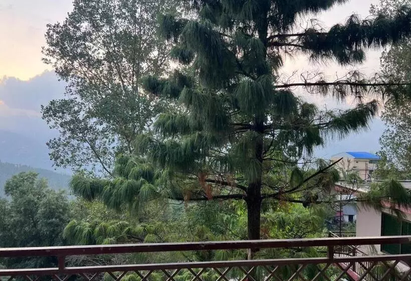 هتل Chinar