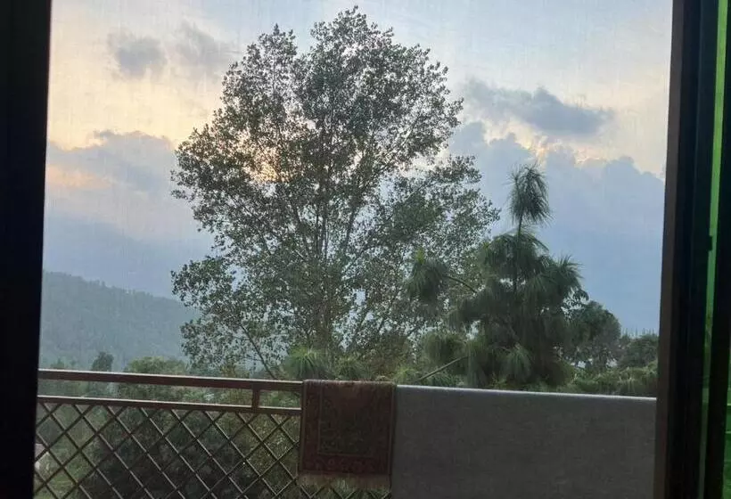 هتل Chinar