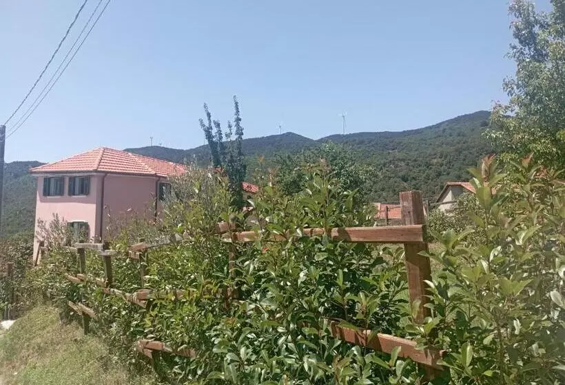 La Tana Della Volpetta   Bed & Breakfast