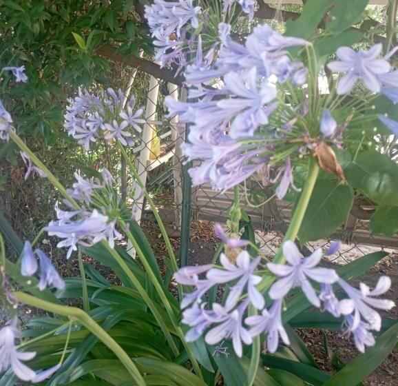 La Tana Della Volpetta   Bed & Breakfast