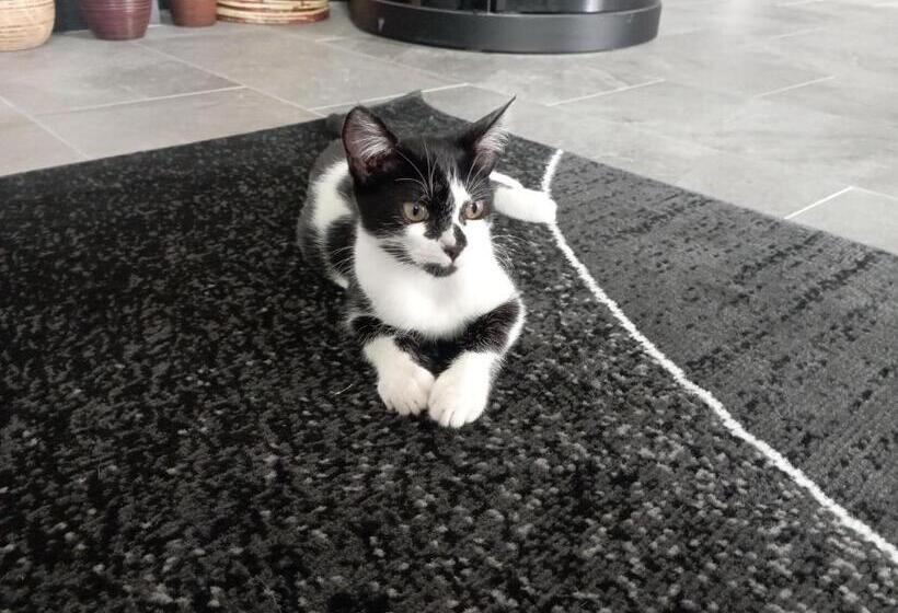 La Tana Della Volpetta   Bed & Breakfast