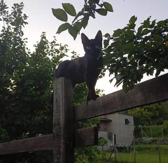 La Tana Della Volpetta   Bed & Breakfast