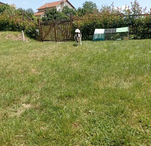 La Tana Della Volpetta   Bed & Breakfast