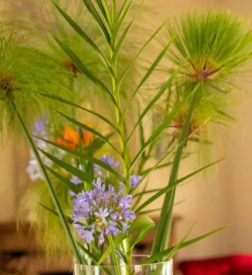 Lomakeskus Quinta Dos Manacás Pousada   Pedra Azul   Rota Dos Lagos