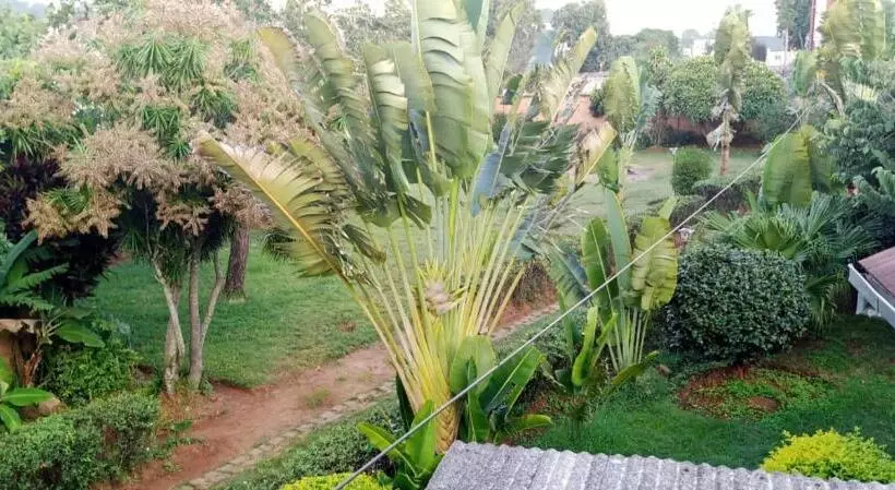 Auberge Nofiko
