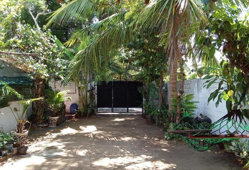 پانسیون Rafee Guest House