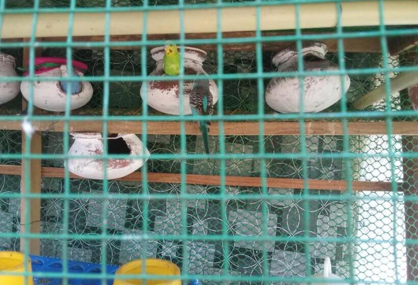 پانسیون Rafee Guest House