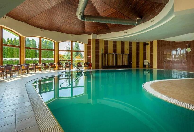 ペンション Velky Meder Penzion