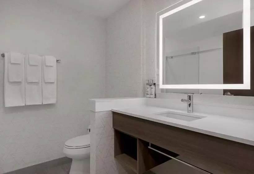 Hotelli Holiday Inn Express & Suites St Thomas