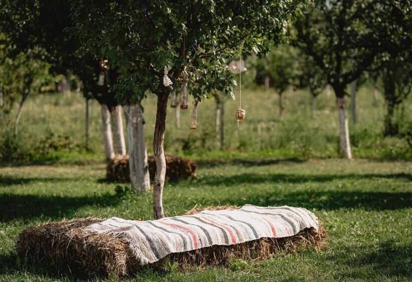 پانسیون La 2 Pruni