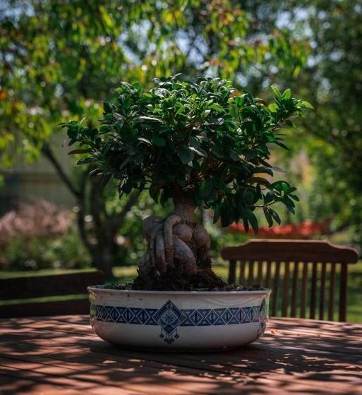 住宿加早餐  Lunidor