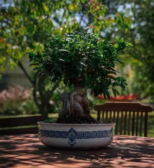 ベッドアンドブレックファースト Lunidor