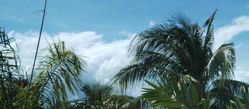 Капсульный Oтель Hostel Tropico 20 Pdc