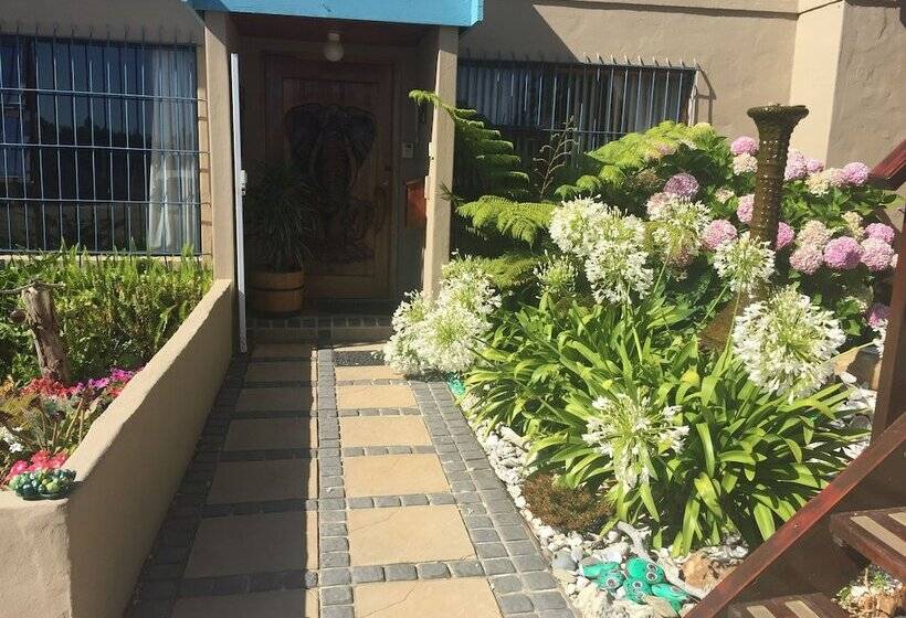 ユースホステル Fisherhaven Travellers Lodge