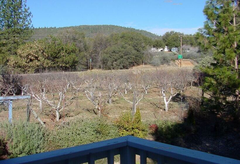 민박 Apple Blossom Inn