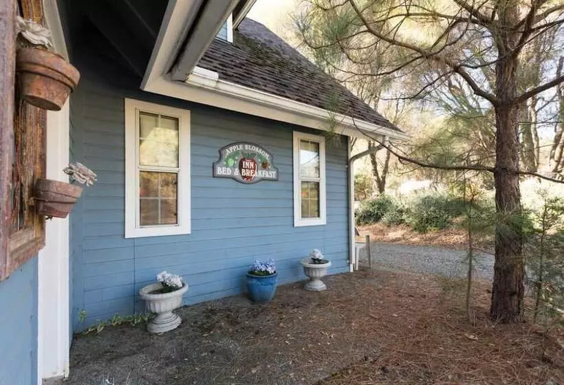 تختخواب و صبحانه Apple Blossom Inn