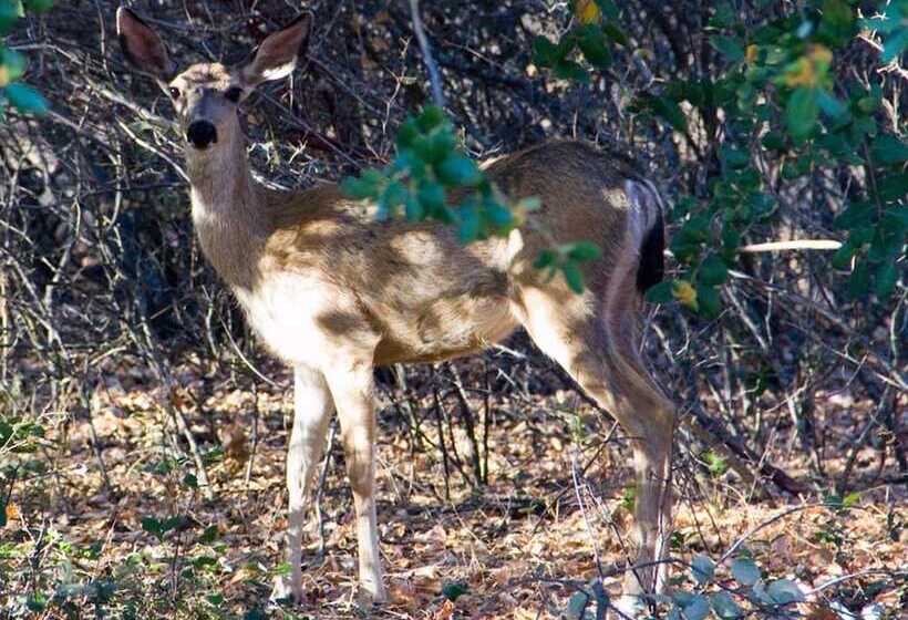 민박 Apple Blossom Inn