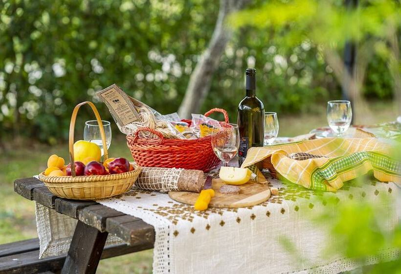 Хостел L Olmo Di Casigliano