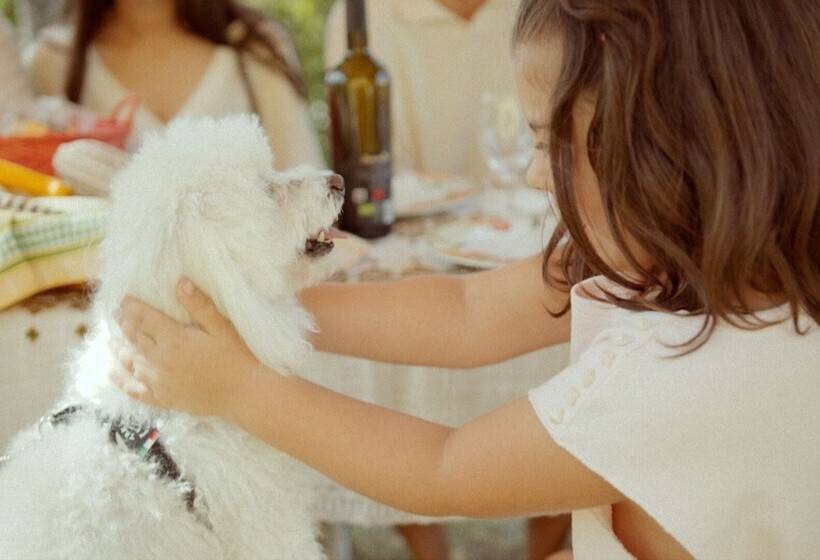 Хостел L Olmo Di Casigliano