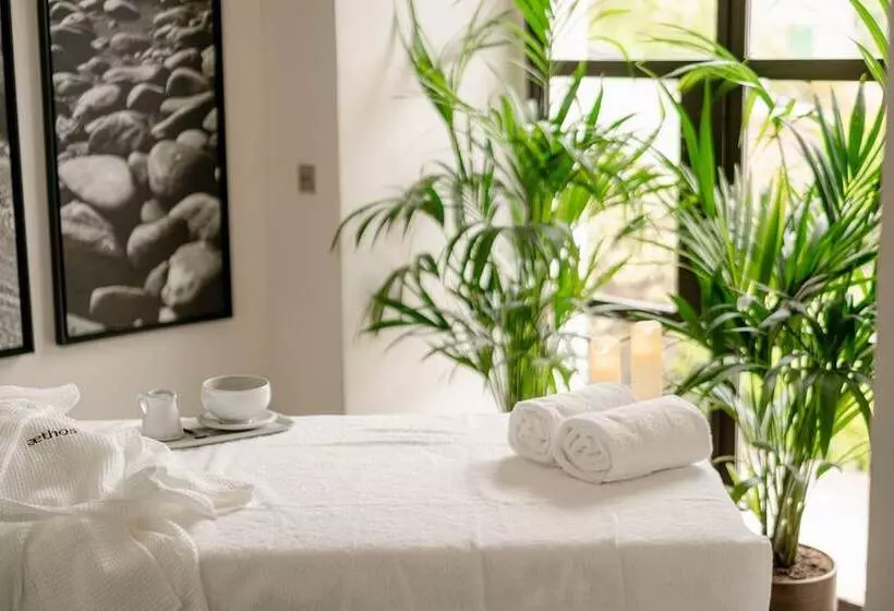 هتل Aethos Corsica
