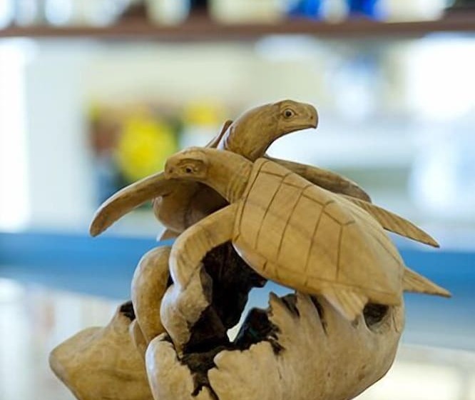 هتل Caretta Beach