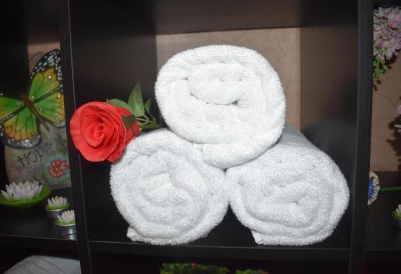 ホテル Emirates Plaza