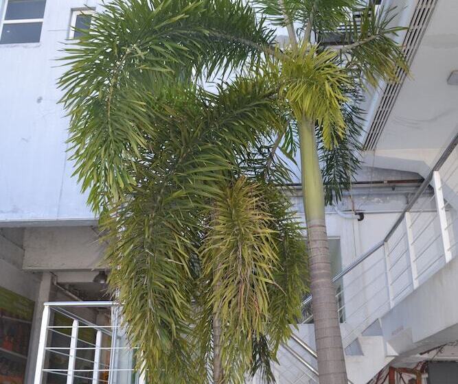 Islands Stay Hotels Mactan