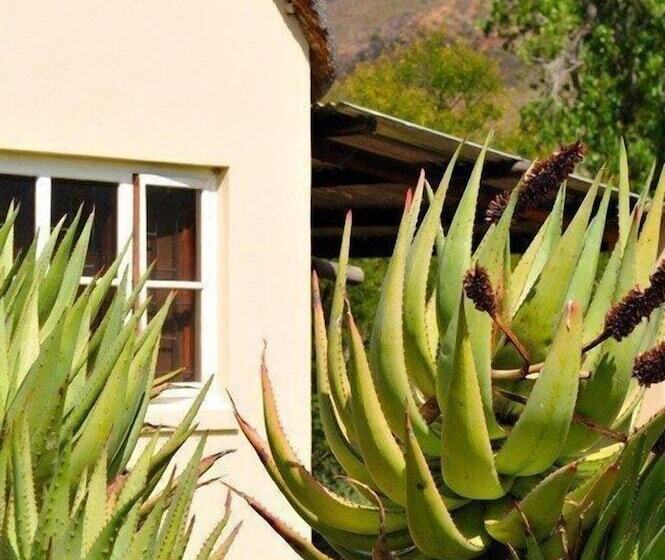 فندق Mymering Wine & Guest Estate