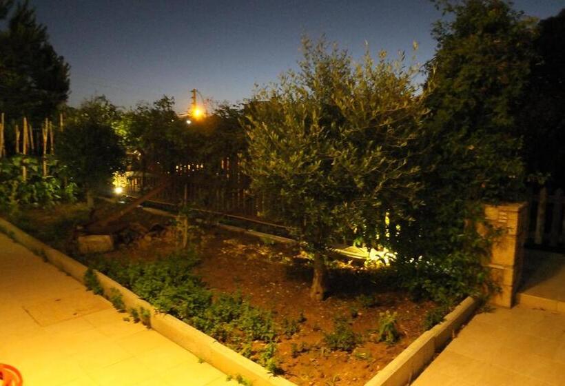 בית מלון כפרי Orizontes View