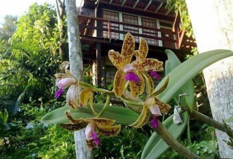 ホテル Porto Pousada Saco Da Capela