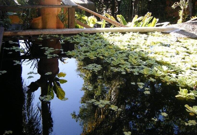 ホテル Porto Pousada Saco Da Capela