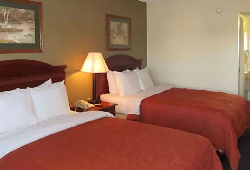 ホテル Rodeway Inn Walterboro I 95