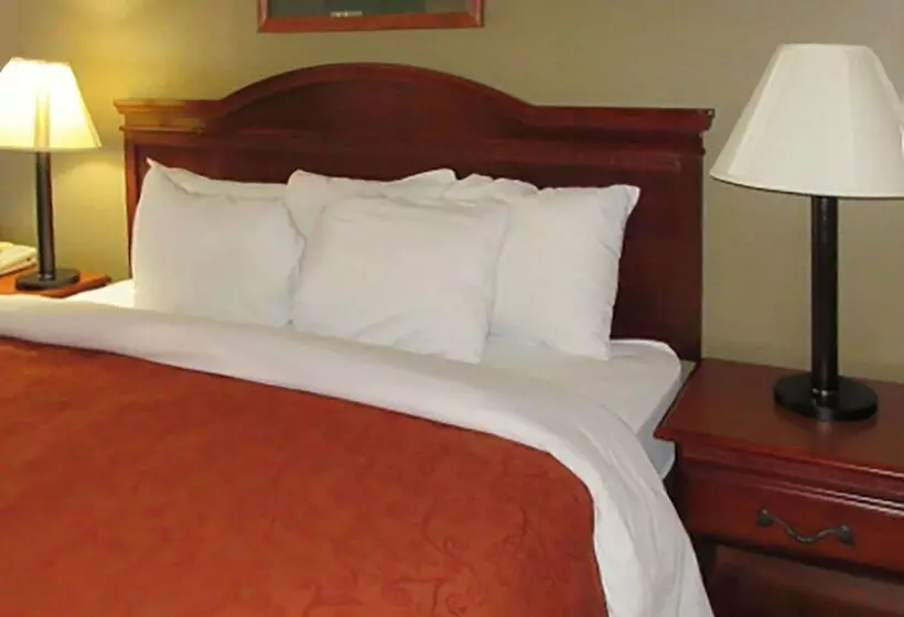 ホテル Rodeway Inn Walterboro I 95