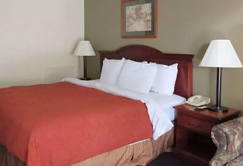 ホテル Rodeway Inn Walterboro I 95