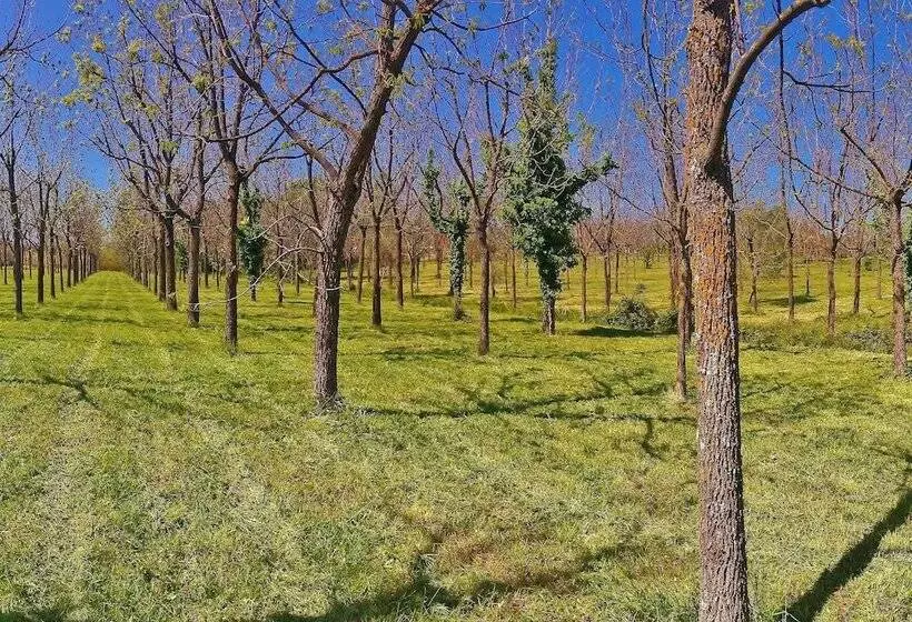 ホテル Villaggio La Pescaccia