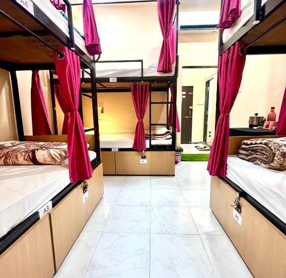 Vandrarhem The Backpackstack