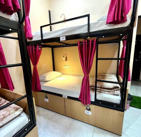 Vandrarhem The Backpackstack