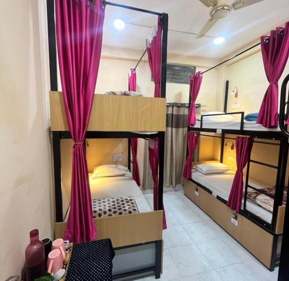 Vandrarhem The Backpackstack